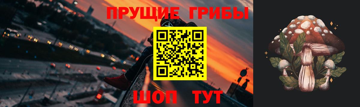 Галлюциногенные грибы Cubensis  Вход с VPN  Воронеж 